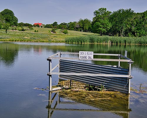 McKinney